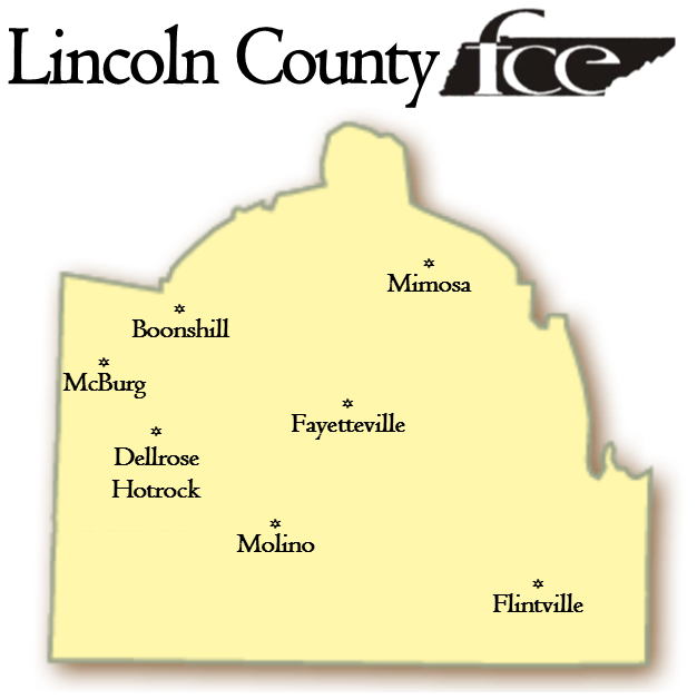 Lincoln County fce